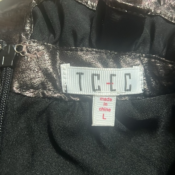 TCEC Silver Mini Dress - Picture 9 of 12